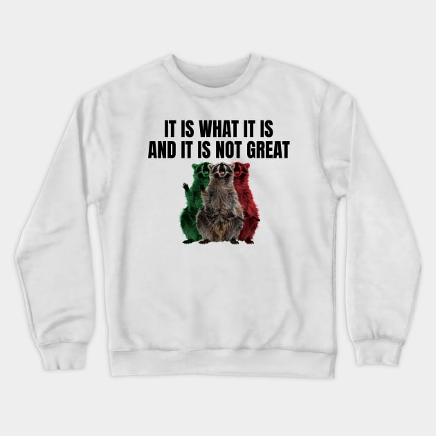 It Is What It Is And It Is Not Great Crewneck Sweatshirt by badCasperTess